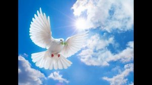 Это орден надежды (Suno AI)