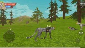 прокачка шестого члена семьи до 10 ур и поздравление Элли