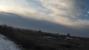 Щенок отдаёт голос