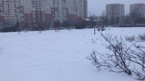 Погода радует.