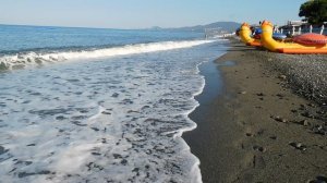 ВИДЕО  ПВН  ББ   (1516)