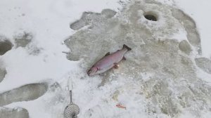 VID_20251230_095821_799