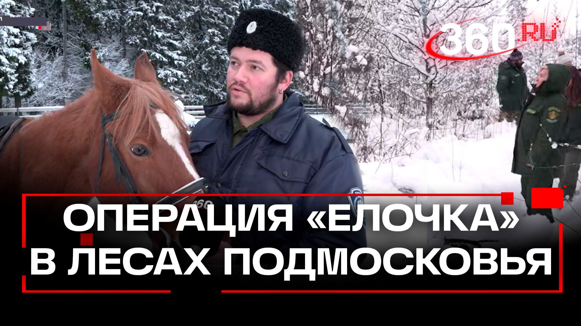 Подмосковные леса в преддверии Нового года перешли под усиленную охрану смотреть онлайн