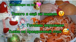 30-12-2025 Переехали на юг/Готовимся к празднику/Что готовим?/Снегопад/Такое в первый раз вижу/Тыква