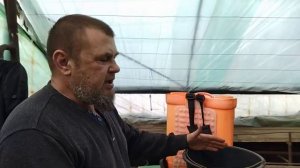 Фармайод - обеззараживание теплицы перед посевом томата