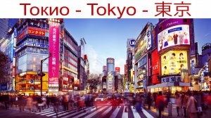 Токио: район Сибуя, пёс Хатико и наш номер в отеле