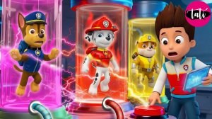 Щенячий патруль и Маршалл. Залипательное видео. Мультфильм для детей и малышей. Анимация 40