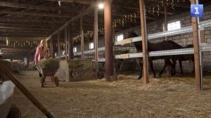 2026‑й – год Красной Огненной Лошади – животного гордого и верного