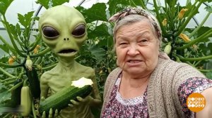 Итоги первой четверти. Века. Доброе утро. Фрагмент выпуска от 30.12.2025