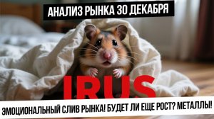 Анализ рынка 30 декабря. Эмоциональное падение рынка продолжится? Металлы отпадали? Рубль!
