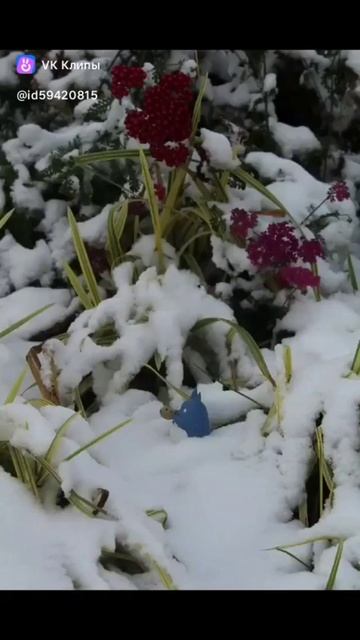 С наступающим Новым годом!новыйгод2026ждем наступающим