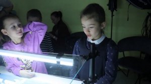 Урок мультипликации