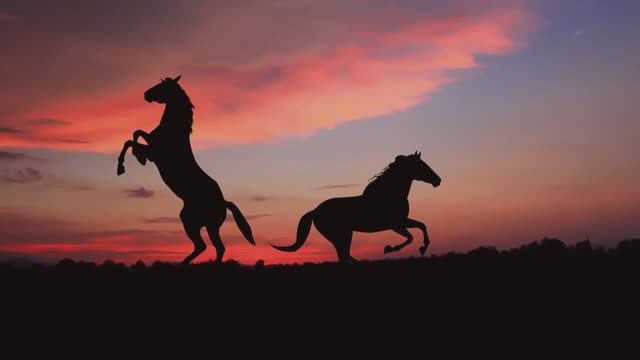 Песня Выйду ночью в поле с конём Песни красивые смотреть онлайн