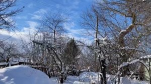 Зима в деревне. Звуки природы