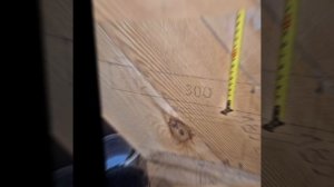 1000044154.mp4 (Собака наблюдает за устройством лестницы на 2 этаж в доме А-фрейм)