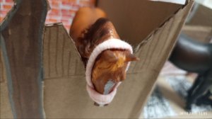 Обзор на самодельную конюшню 💜🐎