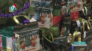 «Мандариновый день» прошёл в Ивановской школе