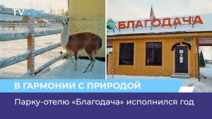 Парку-отелю «Благодача» исполнился год