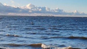 Путешествие в Сестрорецк 👀 #peterburg #travel #петербург  #путешествия #интересныеместа