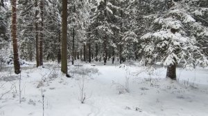 Поздравляю вас с наступающим новым годом!!!