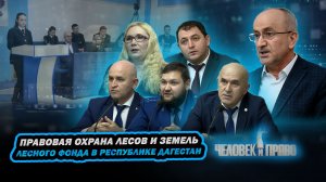 Человек и право. Правовая охрана лесов и земель лесного фонда в республике