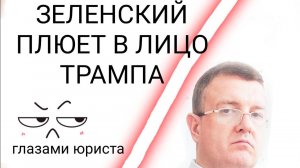 Зеленский плюет в лицо Трампу
