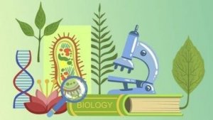 Биология 9 класс. Клеточный уровень.