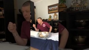 Фрагмент курса 'Вибропунктура поющими чашами'  Схемы исцеляющих точек.