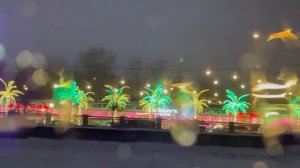 Флотилия « Рэдиссон ройал» ⚓️🎄❄️