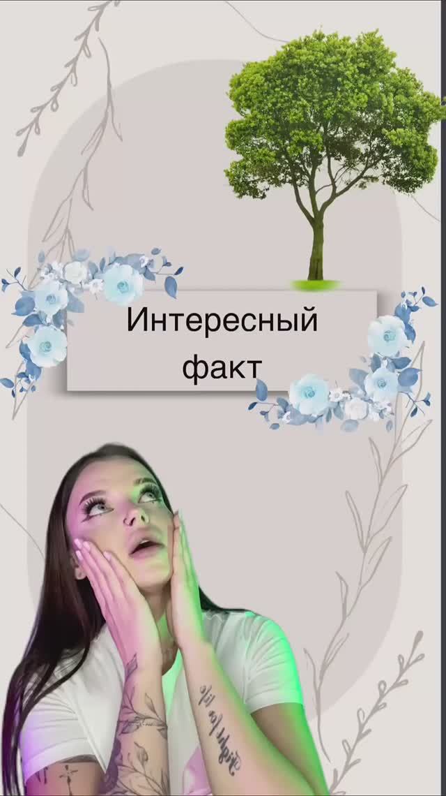 Интересный факт смотреть онлайн