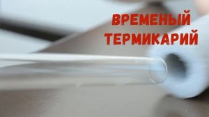 Как и где найти термитов. В Сочи и окресностях