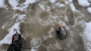 Открытие сезона зимней рыбалки 2025-2026