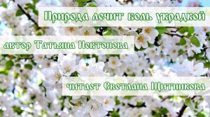 Природа лечит боль украдкой (автор стихов Татьяна Невтонова, читает Светлана Щитникова)