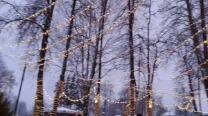 #открытие новогодней ёлки в нашем городе