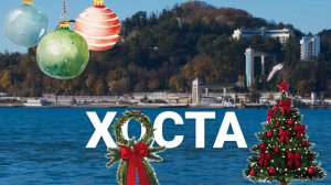 Предновогодняя, зелёная, прекрасная ХОСТА! Новый год 2026 в СОЧИ