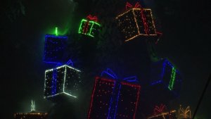 12 тысяч новогодних подарков для детей участников СВО подготовили в Вологодской области