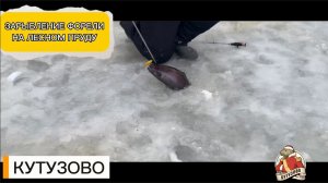 Зарыбление форели на лесном пруду