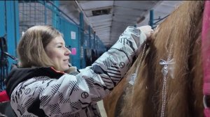 Год Огненной лошади по восточному календарю наступит 17 февраля