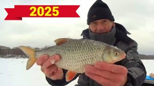 РЫБАЦКИЕ ИТОГИ 2025 года. ЛУЧШИЕ МОМЕНТЫ с рыбалок прошедшего года.