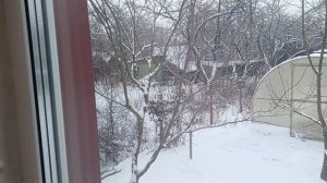 Покупки. На даче.