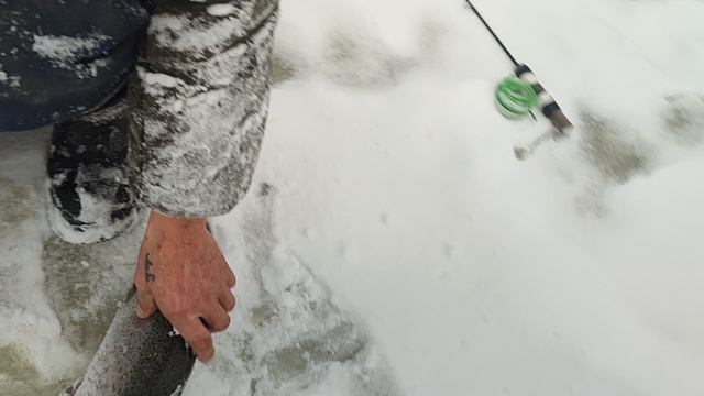 Форель на блесну. Основной водоём. смотреть онлайн