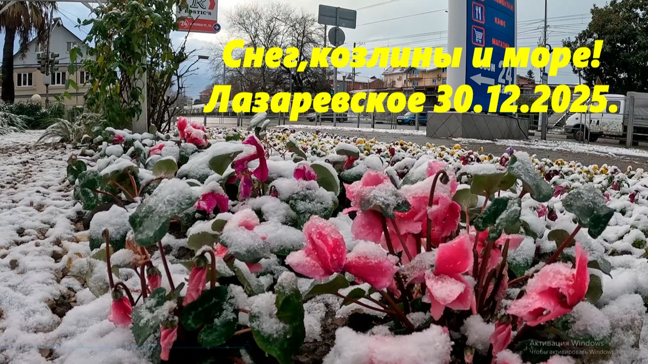 Снег, козлины и море! Лазаревское 30.12.2025. смотреть онлайн