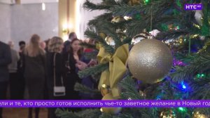 «Елка желаний-2025» в Ирбите