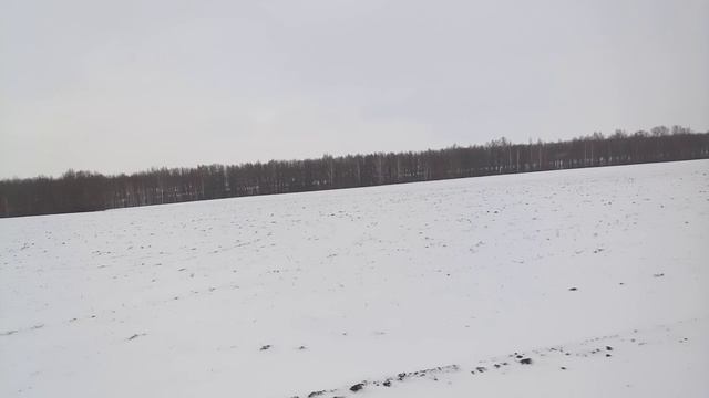 Окрестности села Старогольское 28 декабря 2025 смотреть онлайн