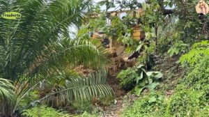 Строительство. расчитска горной дороги