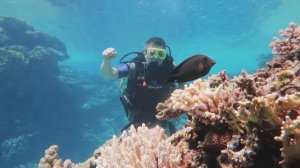 Как я провел 2025 год