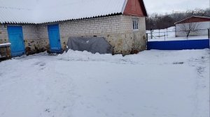 Vlog лёгкий, ни о чём : про снег на крыше; про кошек и мышку; про птичек))