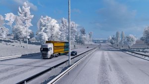 Новогодний ЕТС 2 МП