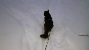 Тяжело по снегу.