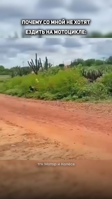 Почему со мной не хотят ездить на мотоцикле #мотомемы #эндуро #мотоцикл #мото #питбайк смотреть онлайн